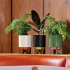 Orla Kiely Gifts Under £100-Debossed Plant Pot On Wooden Stand